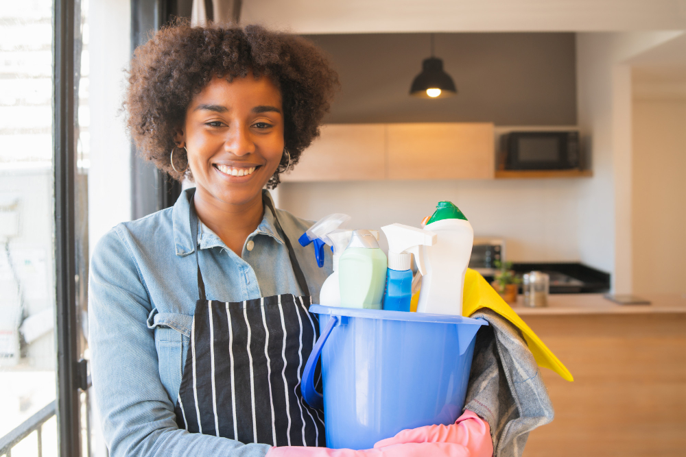 Domestic Cleaning Services 